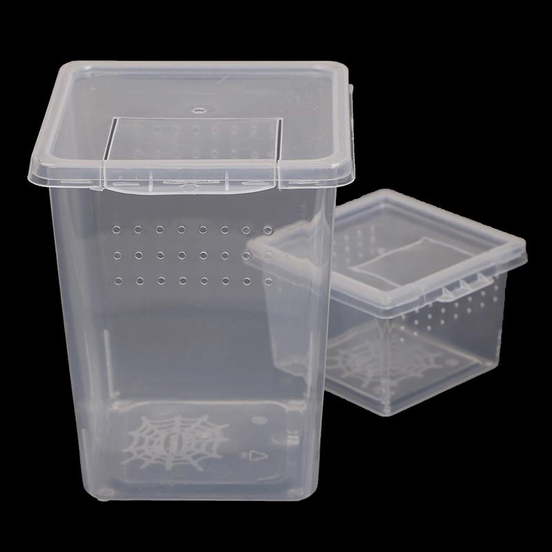 Product Introduction of Plastic Insect Spider Habitat Feeding Box Case Container Tank Transport Case Toy 10