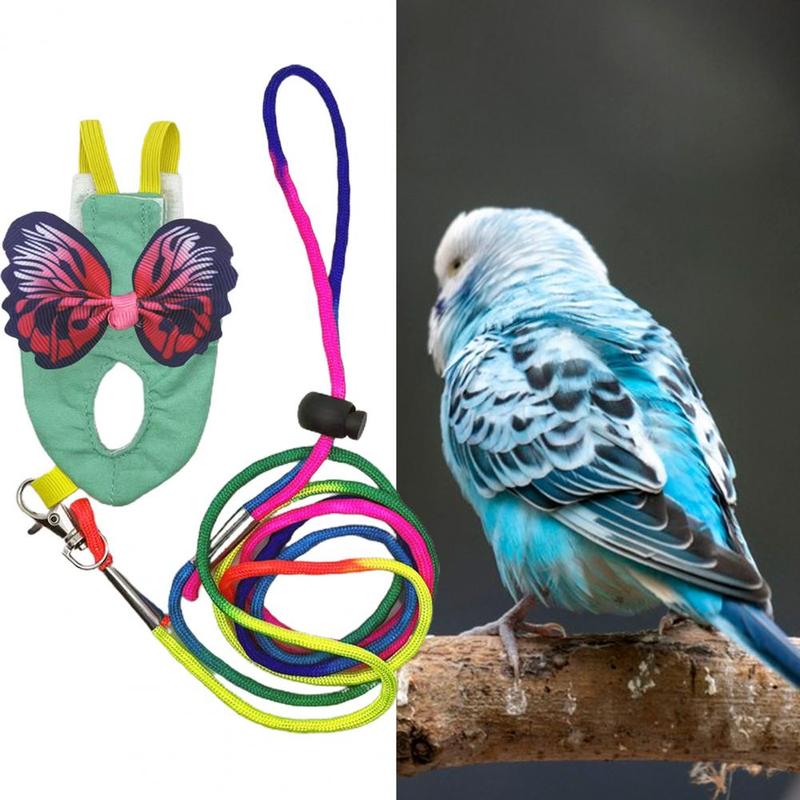 Product Introduction of Parrot Harness Elastic Shoulder Strap Parrot Flight Suit Leak-proof Parrot Flying Vest Parrot Flying Diaper Bird Clothes 11
