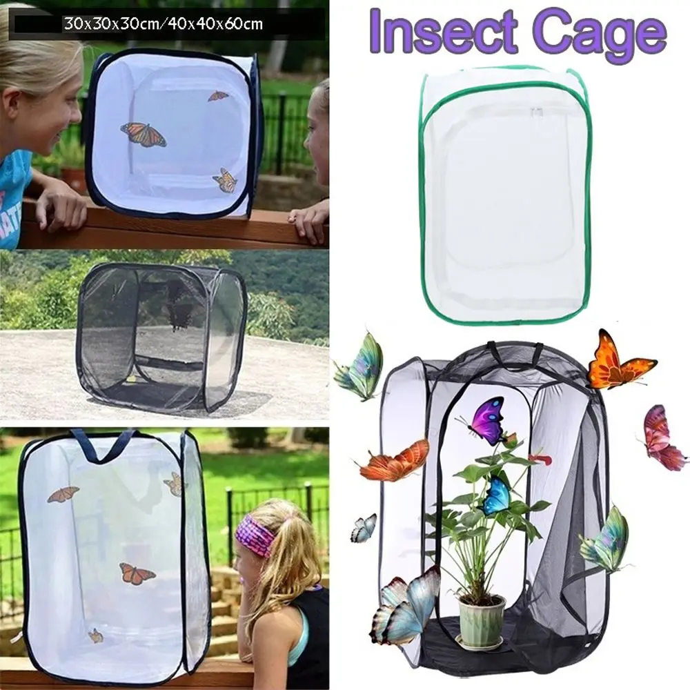 Portable Collapsible Mantis Pet Supplies Seedling Farm Mesh Cage Habitat Cage Butterfly Box Insect Cage