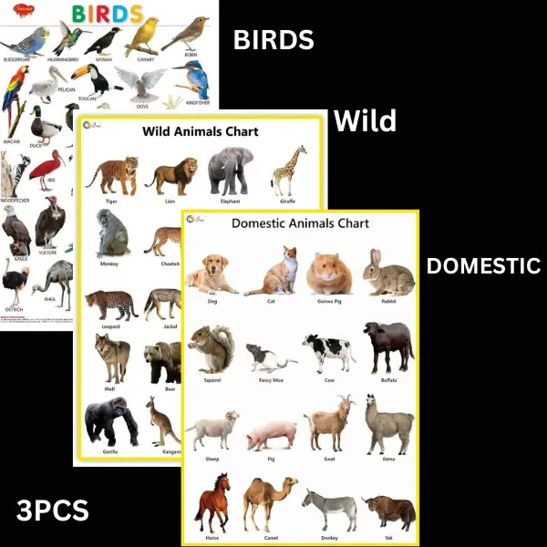ANIMALS | EDUCATIONAL WALL CHART FOR KIDS (LONG SIZE 8.5 X 13 INCHES ...