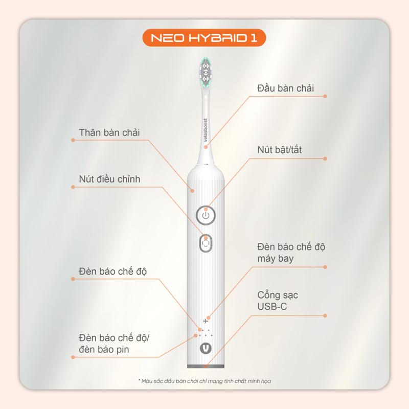 Product Introduction of Bàn chải điện velasboost NEO HYBRID 1, Kháng nước IPX7, Công nghệ rung và xoay kết hợp, Pin tới 30 ngày, Bảo hành lỗi 1 đổi 1 24