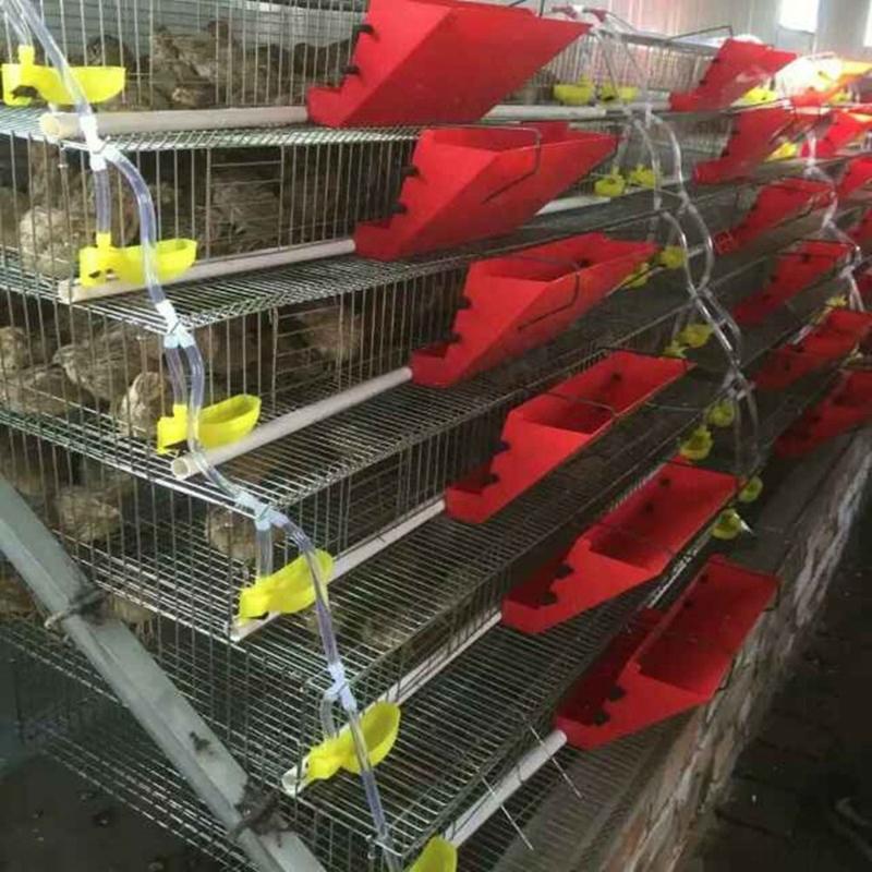 12Pcs Cage Accessories Automatic Quail Drinking Bowl Plastic Suspension Bird Waterer Feeder Practical Convenient Drinking Cup Bowl Duck 3