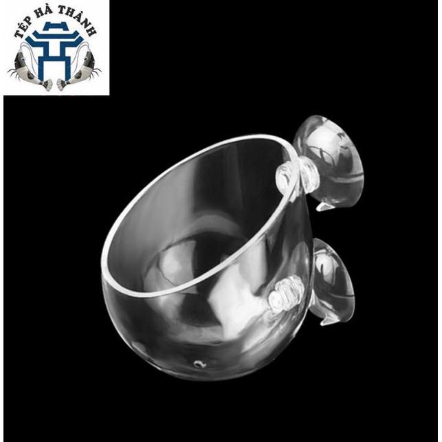 Cốc Trồng Cây Thủy Sinh - Trang Trí Bể Cá Cảnh, Bể Thủy Sinh