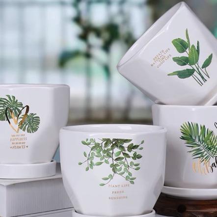 Chậu hoa gốm sứ hoạ tiết size 13cm trồng cây kèm đĩa đựng nước