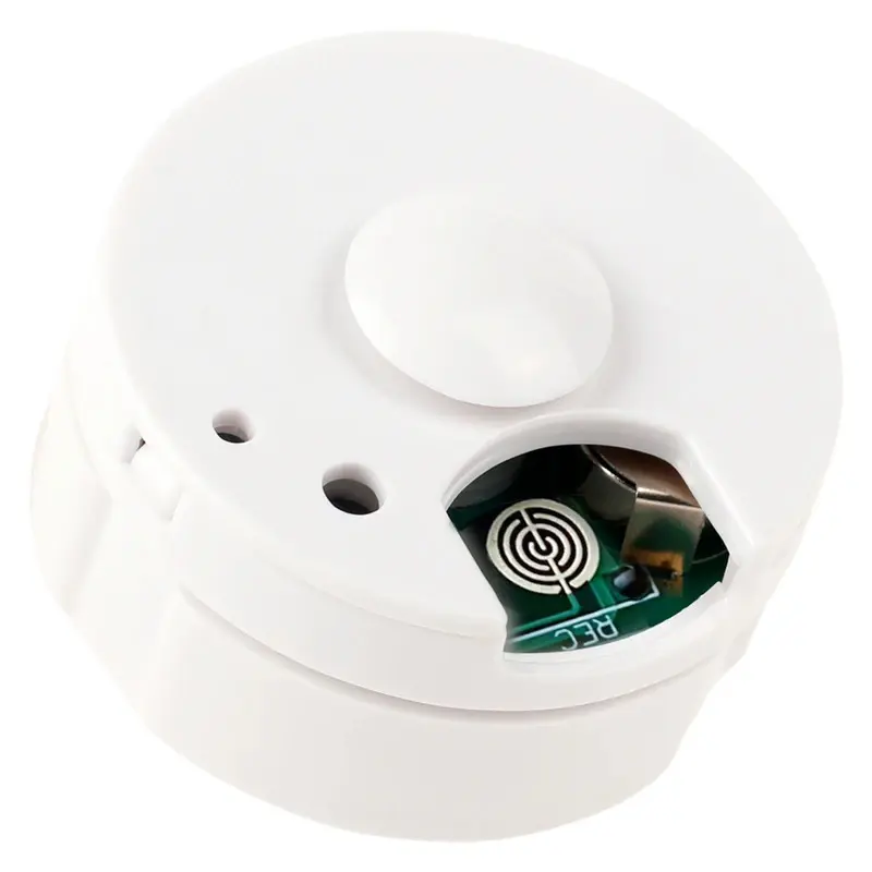 Máy ghi âm mini, với điều khiển một nút 30 giây, Hộp giọng nói gấu, Tùy chỉnh tin nhắn cá nhân, Thích hợp cho thú nhồi bông và đồ chơi sang trọng.