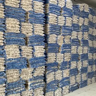 BATU CORAL PUTIH / HITAM KARUNGAN 10 KG DEKORASI TAMAN - LEAVESHOPP 0