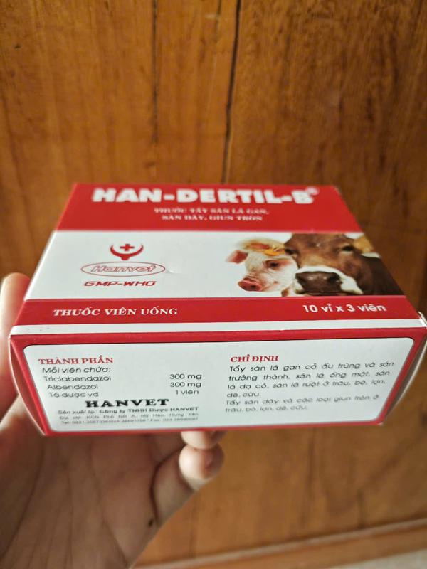 HAN-DERTIL -B THUỐC TẨY GIUN SÁN TRÊN CHÓ MÈO, LỢN, GÀ 4