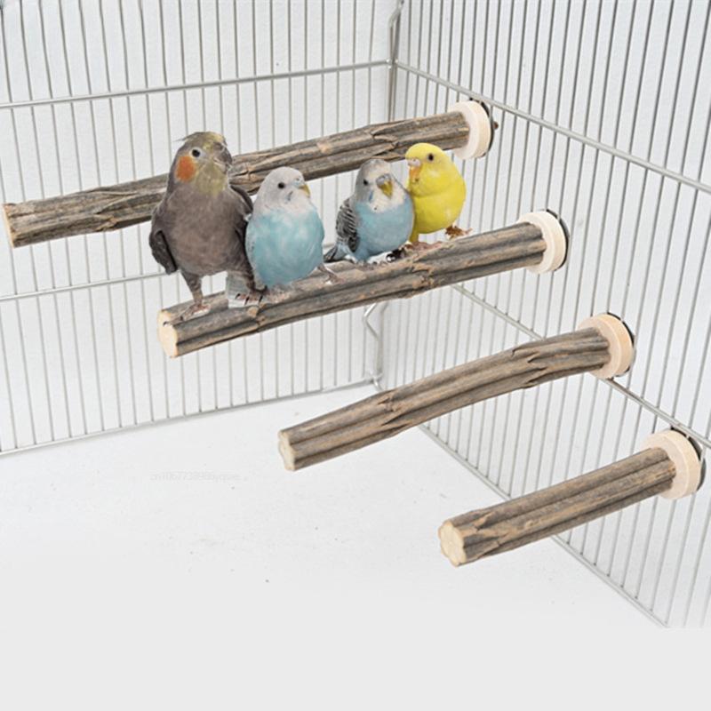 Natural striped wooden standing stick Bird Parrot Standing Toy - TikTok ...