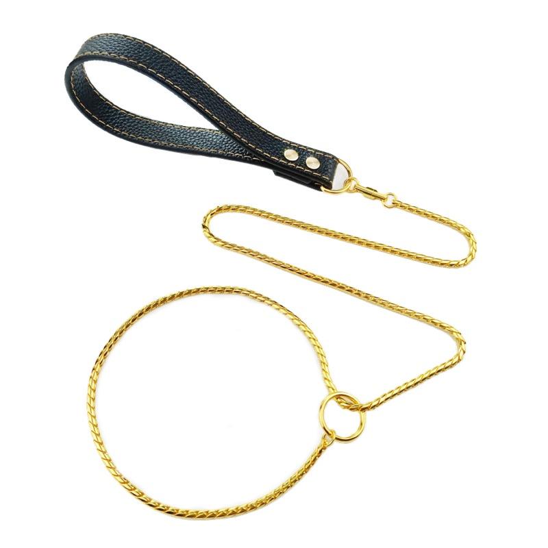 Dây Xích Vòng Cổ Dây Xích Chó Thiết Kế 2IN1 Được Làm Bằng Thép Không Gỉ 304 Vòng Cổ Kim Loại Cho Chó Có Màu Bạc Và Vàng Dây Chì Cho Thú Cưng Có Tay Cầm Bằng Da
