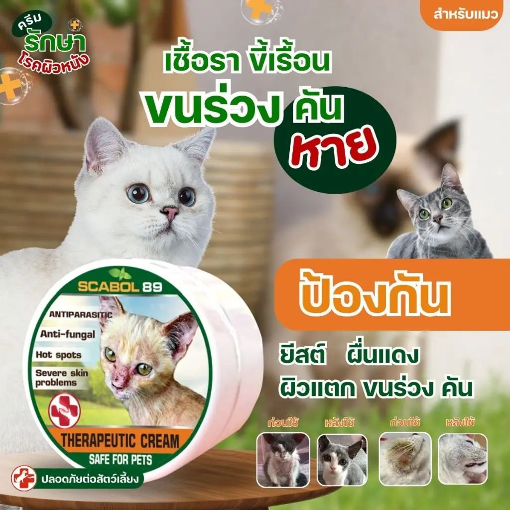 จัดส่งถึงบ้านครีมสำหรับสัตว์เลี้ยง แก้เชื้อรา ขนร่วง คัน ผิวหนังแดง ตกสะเก็ด (สำหรับแมว)