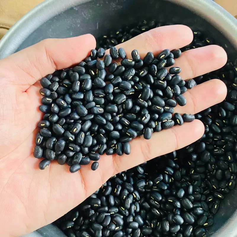 ĐẬU ĐEN XANH LÒNG THUẦN CHỦNG - Hạt nhỏ tự nhiên tốt cho sức khỏe (TÚI 1KG) 5