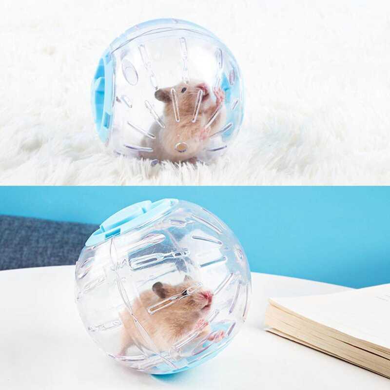 Product Introduction of TTS Homie Umisu ball outdoor pet fitness toy made of plastic used for small running 27