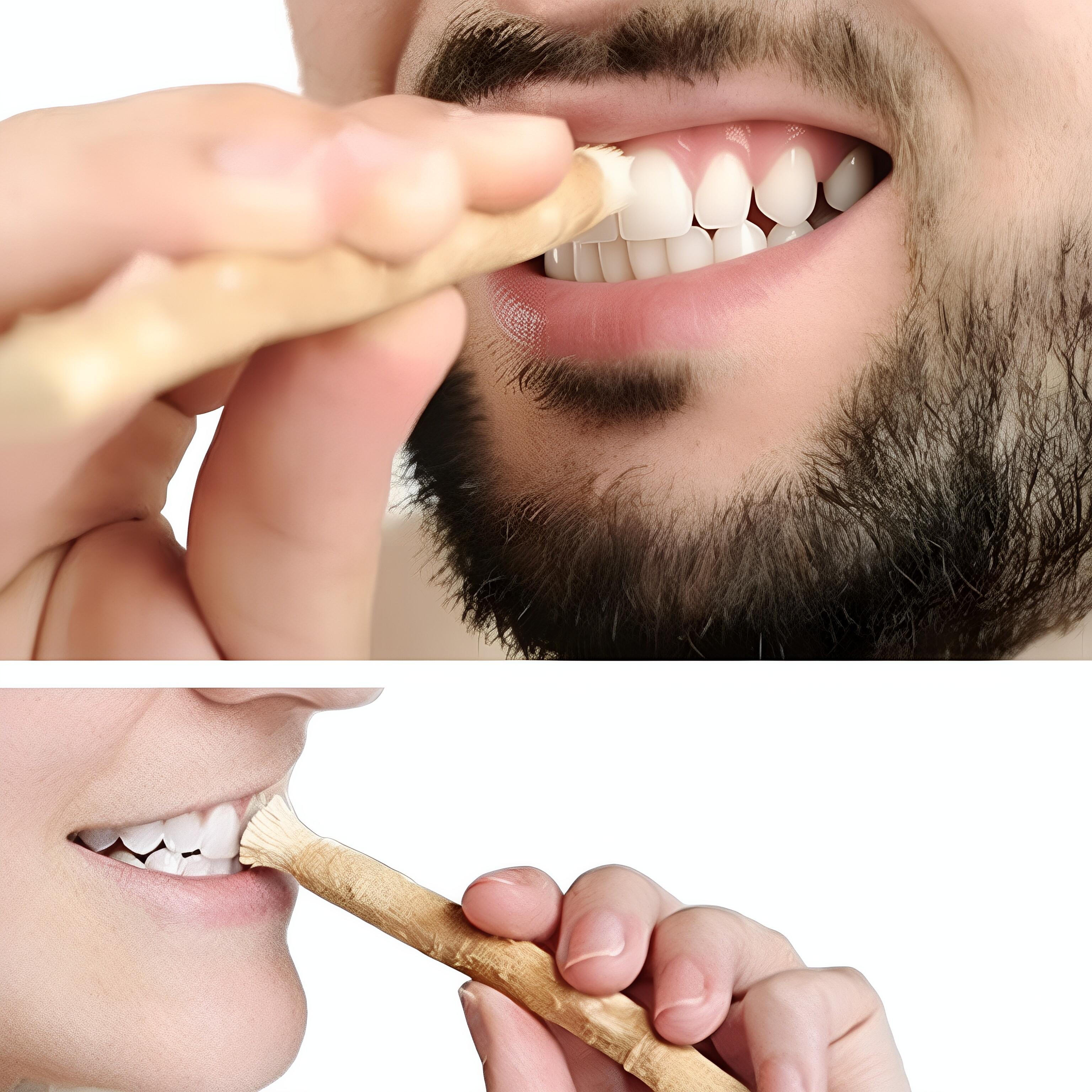 Sikat gigi pembawa keberuntungan/cocok untuk Ramadan/Sikat gigi tradisional alami murni