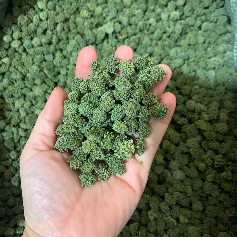 NỤ HOA TAM THẤT (Không cuống) 500gr