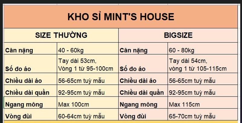 Product Introduction of Size 40-60kg-Bộ Lụa Latin Tơ Tằm Cao Cấp Cổ Nhọn In Full Họa Tiết 5D Queen Tay Dài Quần Dài Mềm Mát Mặc Nhà Cao Cấp Women Nữ Áo Quần Ngủ Voi Cạp Cao Sen Top 0