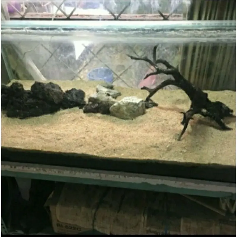 Pasir Bali Aquarium Aquascape Pasir Pantai 1kg 3