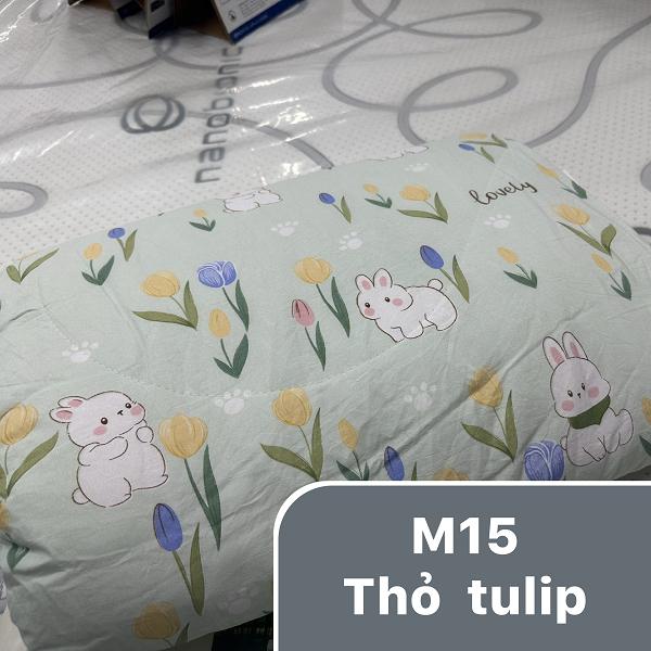 Product Introduction of Chăn hè xơ đậu nành 3