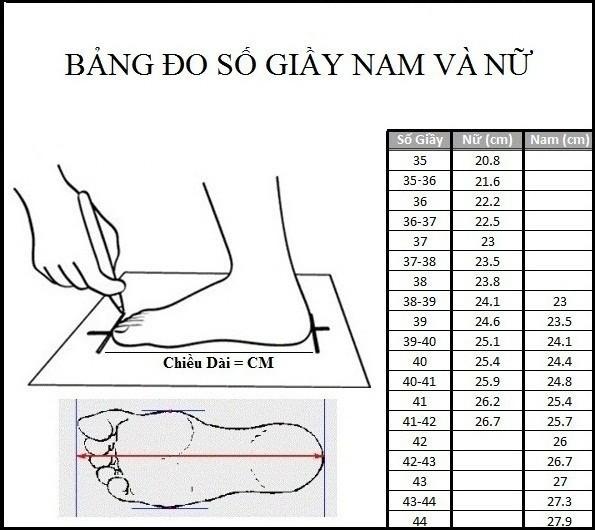 Product Introduction of Giày Thể Thao Nữ, Giày Chạy Bộ Cao Cấp WN243 Xám Phối Siêu Nhẹ Êm Thoáng Khí (Hàng hộp) Tập Chạy Bộ Sneaker Sport 0
