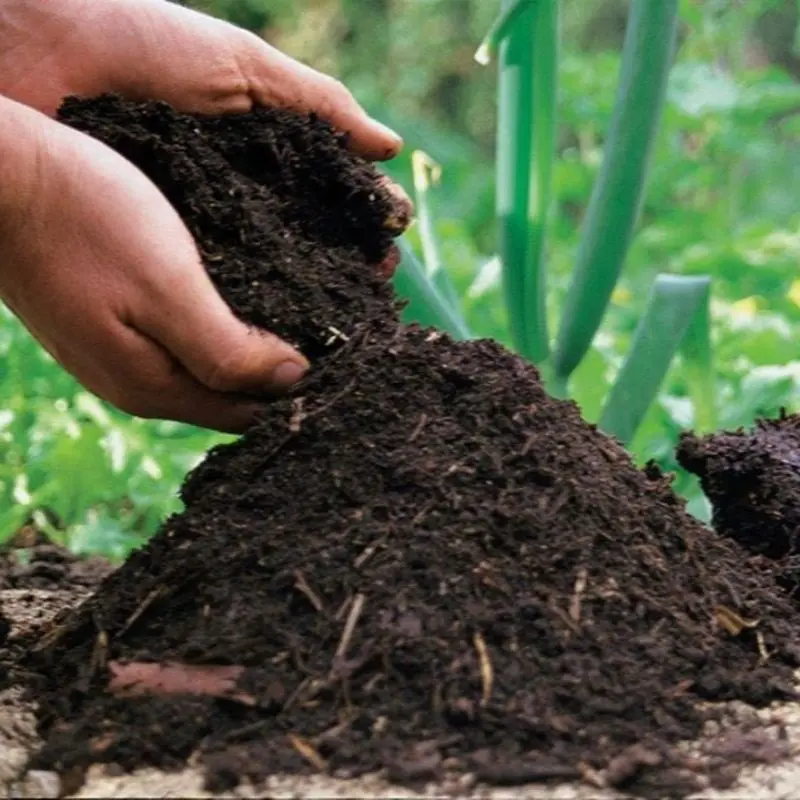 500 gram - Pupuk Organik Kompos Fermentasi sangat subur Pupuk Kandang Kompos Berkwalitas Tinggi