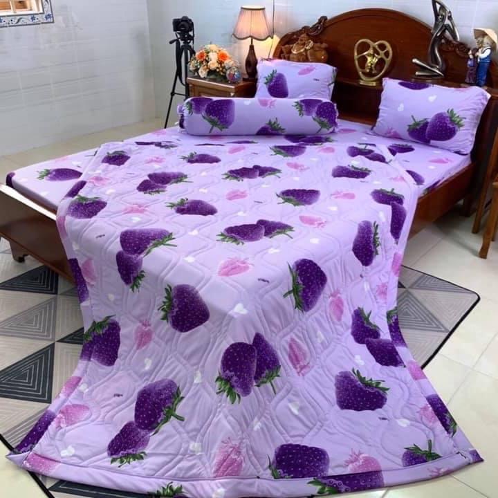Bộ ga thun Hàn quốc mẫu dâu 4