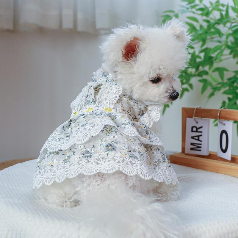 Cat Floral Print Lace Pet Dress, 1 Count Elegant Princess Style Summer Dog Dress for Small Girl Puppies Doggies Kittens, Fashionable Pet Clothes Dogs Outfit 6
