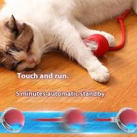Gambar Vinnatsu Mainan Bola Tali Pet Mainan Bola Listrik Bergulir Cerdas Mainan Peliharaan Interaksi Cerdas Kucing Dan Anjing - Abu dari Vinnatsu official Kab. Tangerang 5 Tokopedia