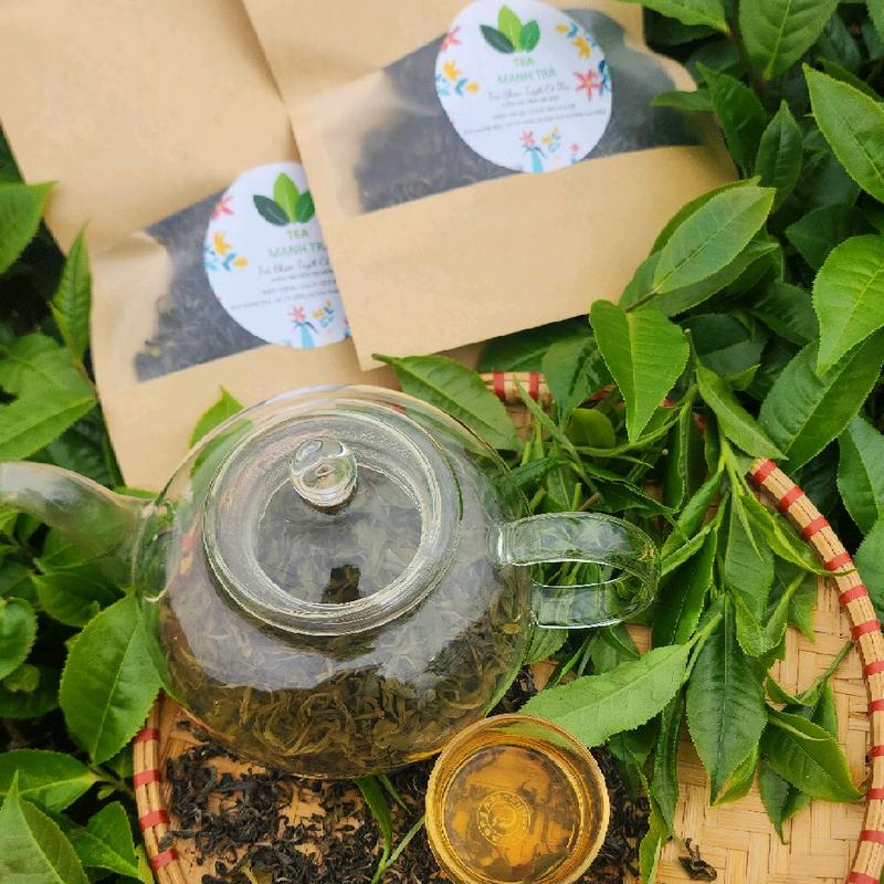 100g Trà shan tuyết cổ thụ Tả liên sơn phẩm trà từ 300 đến trên 500 năm . Mạnh biên giới - Hợp tác xã Mạnh Trà 3