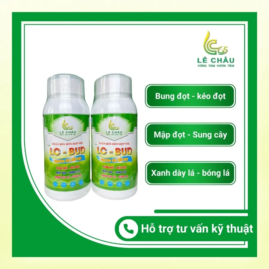 LC BUD_Chuyên gia trong việc kéo đọt, kích đọt vọt đọt