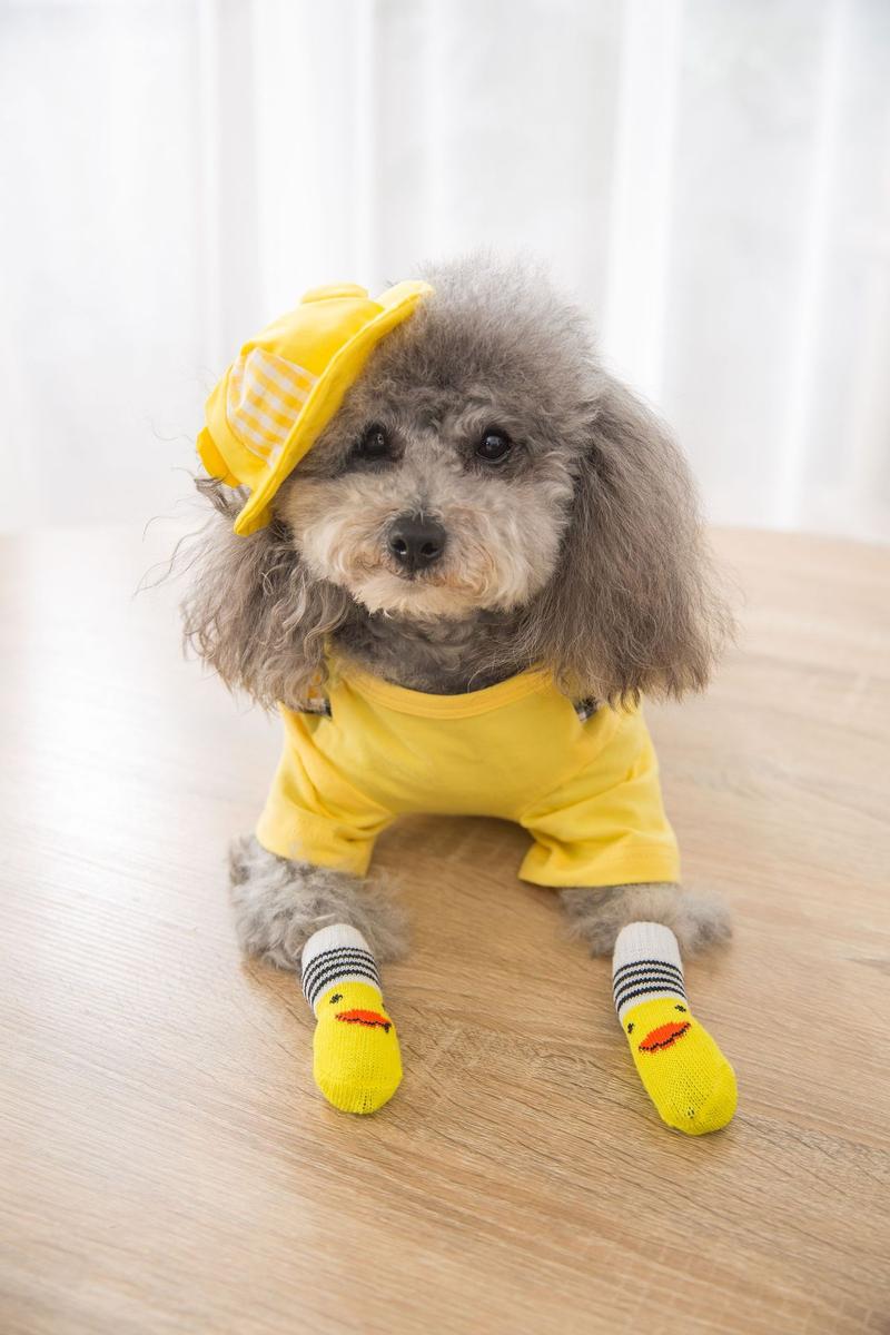Product Introduction of 4Pcs Cute Pet Dog Socks with Print Anti-Slip Cats Puppy Shoes Paw Protector Products for Small Breeds Spitz York Dogs Chihuahua 15