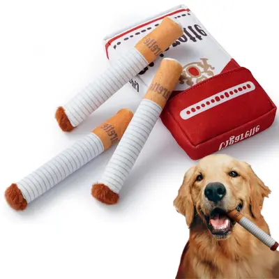 Fetch toys for blind dogs best sale