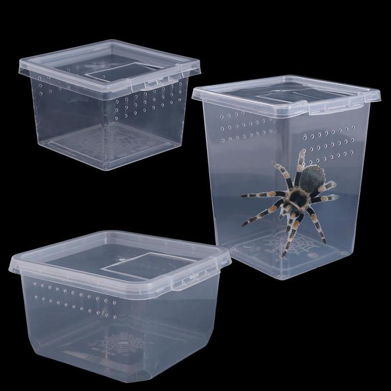 Product Introduction of PET HOTLE 1PC Practical Transparent Reptile Accessories Plastic Household Lizard Living Box Hatching Tank Insect Feeding Box Reptile Habitat 9