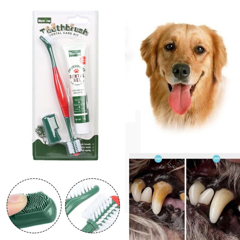 Product Introduction of 1pc Pet Toothpaste Toothbrush Set 360° Cat Dog Dental Cleaning Supplies Pet Oral Brush Clean Y2W1 36