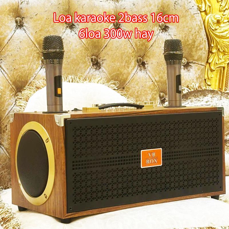 Loa karaoke VB-669  plus 2bass 16cm 6 đường loa cao cấp kèm 2 micro loa karaoke