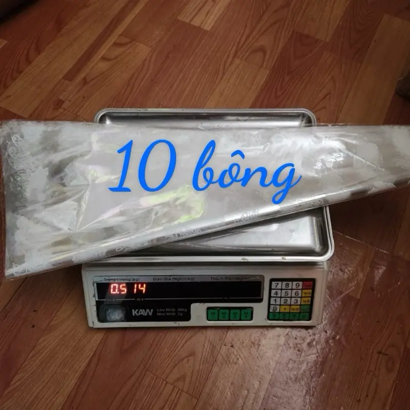 TÚI ĐỰNG HOA TƯƠI/ HOA GIẢ ĐỦ SIZE HOẠ TIẾT ĐẸP 7