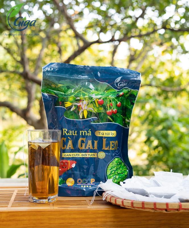 250Gram Trà Cà Gai Leo Rau Má GiGa - Thanh Nhiệt Giải Độc Gan - Sản Phẩm Chính Hãng 4