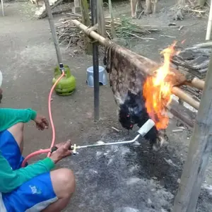 [BISA COD] Kompor Bakar Kulit Kambing Sapi Komplit Kompor Tikus Kompor Bakar Babi alat pembakar mentai