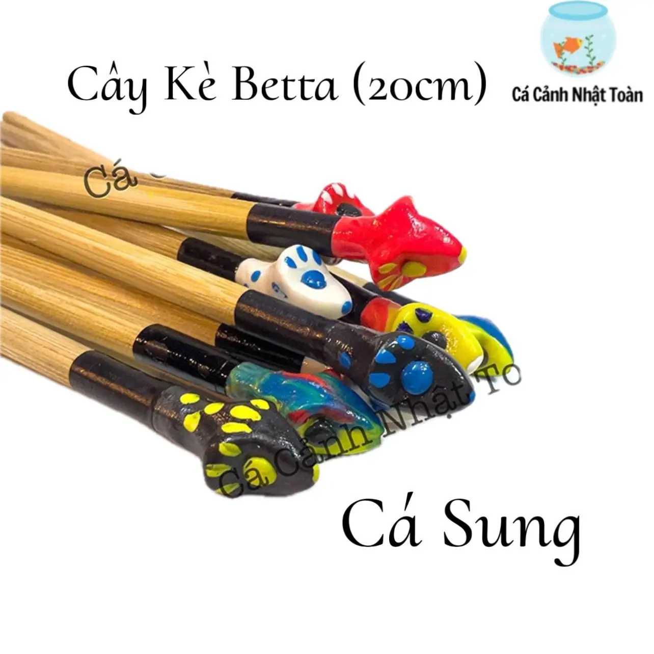 Cây Kè Betta Giúp Cá Sung, Cá Khỏe Dài 20cm (Mẫu Ngẫu Nhiên) Trang Trí Bể Cá