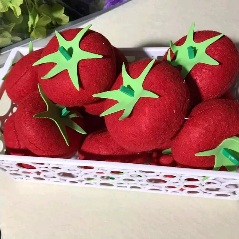 củ quả bằng nỉ nhồi hạt xốp dùng cho lớp mầm non 6