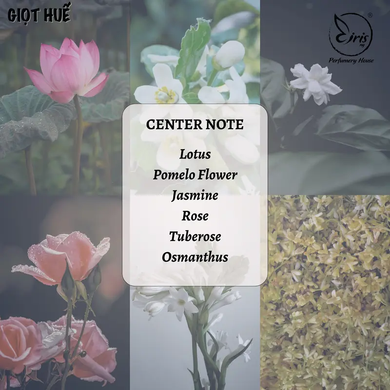Giọt Huế - Nước Hoa Nữ Iris Nguyen Perfume - Tông Hoa Cỏ Thanh Mát 5