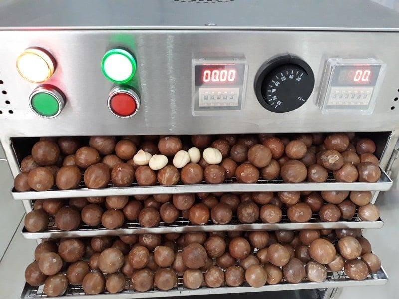 Product Introduction of 500gr Hạt Macca Sấy Đăk Lăk (1 Lon/ Túi zip) Dung Dương Đăk Lăk Food Snack Ăn Vặt Thức Ăn Cay Nuts 14