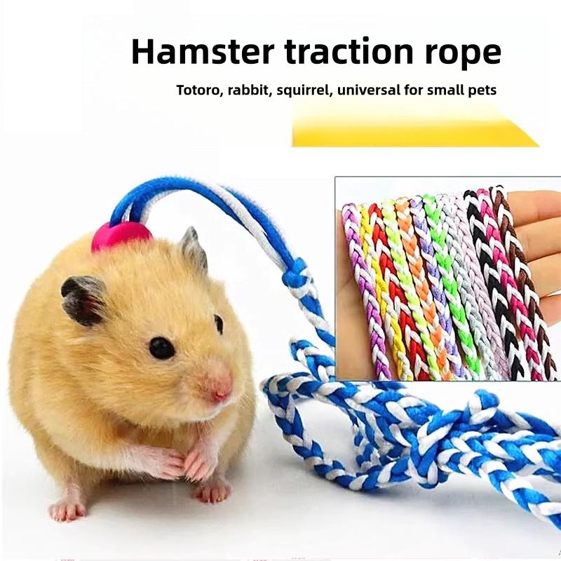 Hamster Leash with Bell for Golden Hamsters, Rabbits, Guinea - TikTok ... - Hamster Bell Protector Hideout