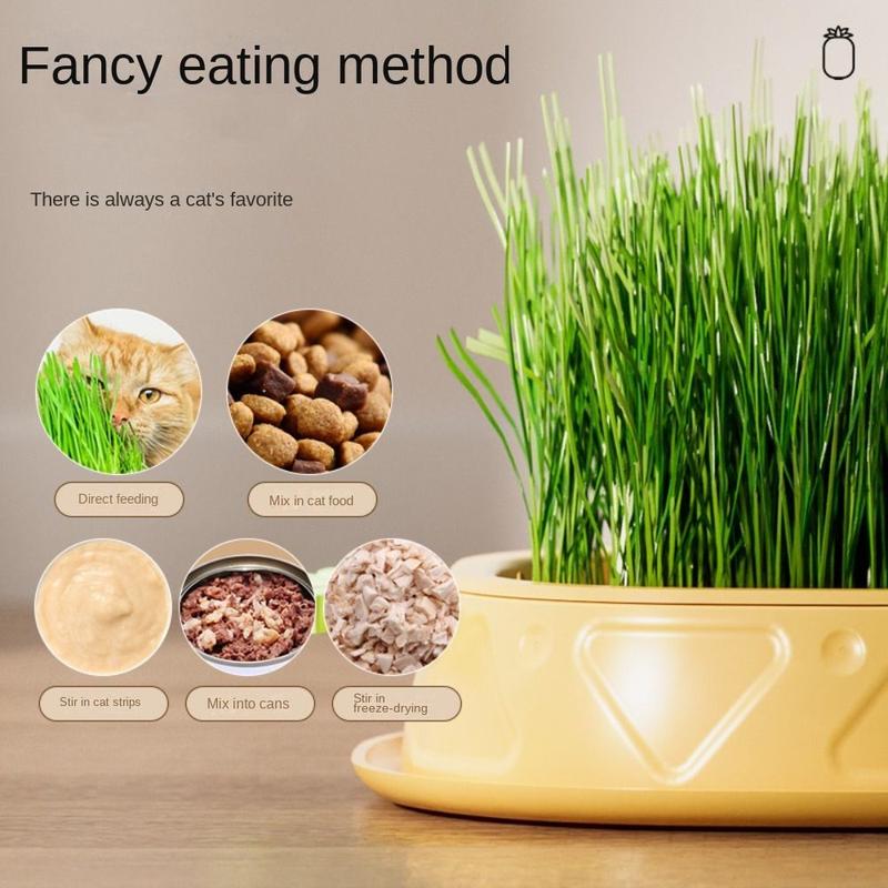Product Introduction of Reusable Pineapple Shape Cat Grass Planting Box Soilless Hydroponic Without seeds Cat Grass Case Seed Sprouting Trays Garden Seed Sprouter Tray 12