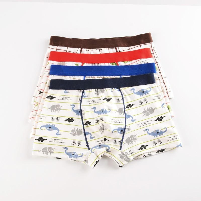 Quần lót bé trai cao cấp HIKITOKIDS Combo 5 quần CB05 6