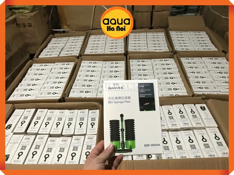 Lọc sủi vi sinh Bio đôi Qanvee QS-100A / QS-200A - Có khoang chứa thêm vật liệu lọc 5