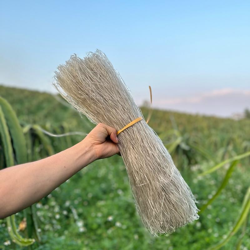 1kg miến sợi bé ( sợi nhỏ )  - Đặc sản Tây Bắc Thức Ăn Food miến  dẹt