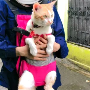 Gendongan Kucing Depan,Belakang,Tas Gendongan Anjing