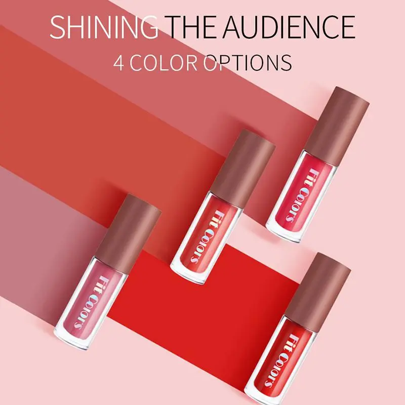 Long Lasting Liquid Lipstick, 4 Counts/set Velvet Matt Finish Liquid Lip Gloss, Non-sticky and Gentle Texture Juicy Lip Gloss 2