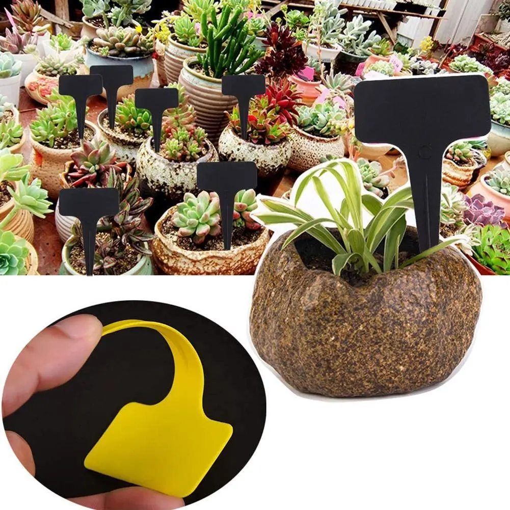 Nhãn Hoa Làm Vườn Hình Chữ T, Chèn Nồi Đất Hoa Mọng Nước, Ký Hiệu Chống Mưa, Thích Hợp Cho Hoa, G5R6