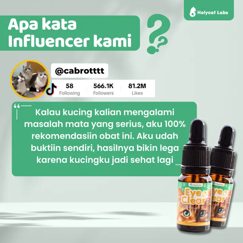 PL Holycatlabs EYE CLEAR 10ML Obat Tetes Mata Kucing Pembersih Infeksi Kotoran Belekan Merah Bengkak 4