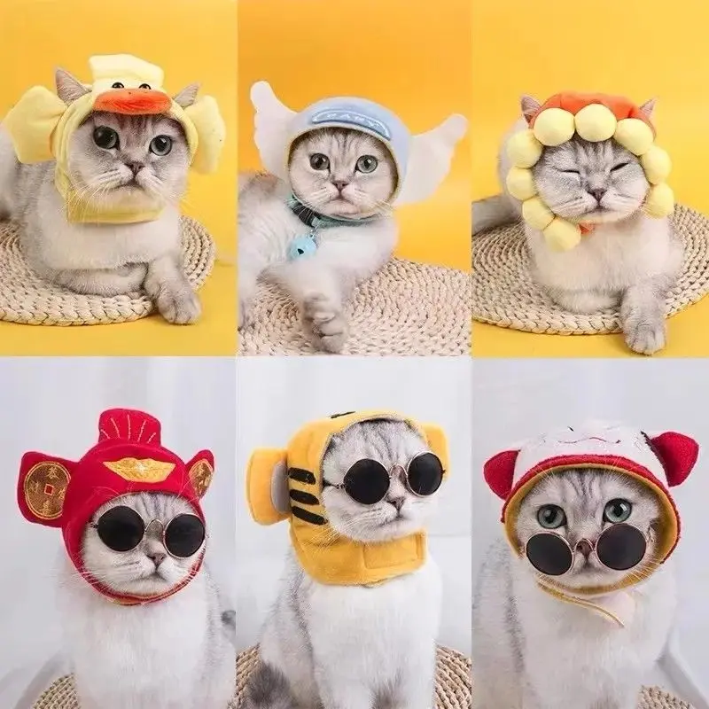 Cat Hat Headgear Cute Disguise Headdress Dog Pet Small Plush Funny Photo Bear Internet Celebrity